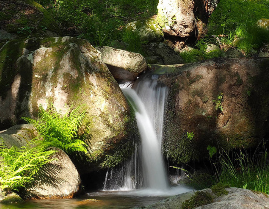 Explora el Valle del Alberche: Naturaleza y Aventura Cerca de La Serradilla